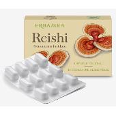 Reishi