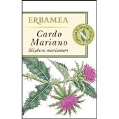 Cardo mariano