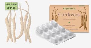 Cordyceps